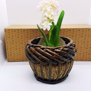 Small Wicker Boho Woven Planter